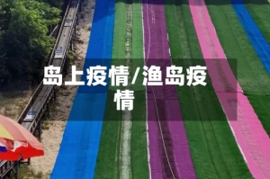 岛上疫情/渔岛疫情
