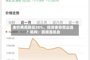 金价两周跌近20%，投资者恐慌出逃？机构：回调是机会