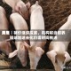 费用周报｜猪价继续探底，机构称当前养殖端加速去化仍需时间推进