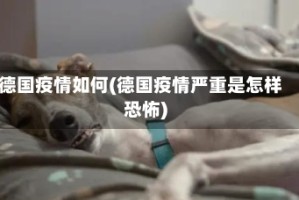 德国疫情如何(德国疫情严重是怎样恐怖)