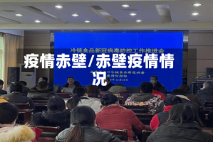 疫情赤壁/赤壁疫情情况