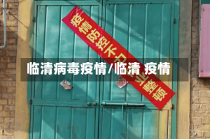 临清病毒疫情/临清 疫情