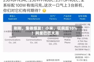 刚刚，集体爆发！小米，狂飙超10%！阿里巴巴大涨