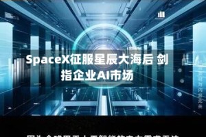 SpaceX征服星辰大海后 剑指企业AI市场