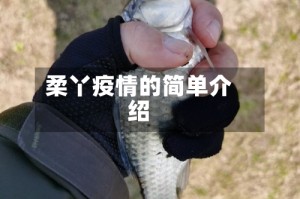 柔丫疫情的简单介绍