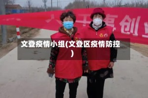 文登疫情小组(文登区疫情防控)