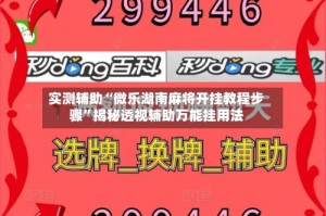 实测辅助“微乐湖南麻将开挂教程步骤”揭秘透视辅助万能挂用法