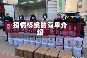 疫情桥梁的简单介绍