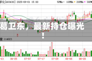 葛卫东，最新持仓曝光！