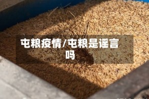 屯粮疫情/屯粮是谣言吗