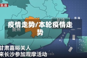 疫情走势/本轮疫情走势