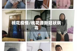 桃花疫情/桃花源新冠状病毒