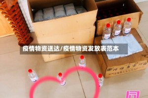 疫情物资送达/疫情物资发放表范本