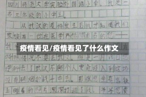 疫情看见/疫情看见了什么作文