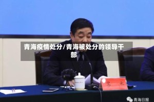 青海疫情处分/青海被处分的领导干部