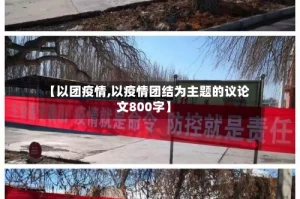 【以团疫情,以疫情团结为主题的议论文800字】