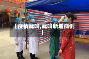 【疫情武鸣,武鸣新增病例】