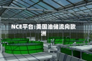 NCE平台:美国油储流向欧洲