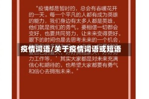疫情词语/关于疫情词语或短语