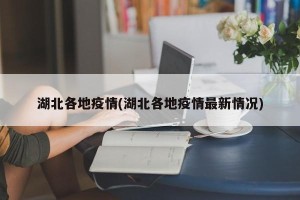 湖北各地疫情(湖北各地疫情最新情况)