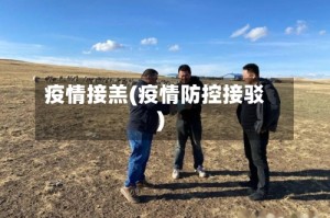 疫情接羔(疫情防控接驳)