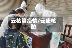 云核算疫情/云康核酸