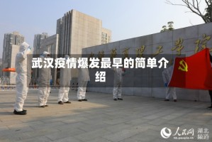 武汉疫情爆发最早的简单介绍