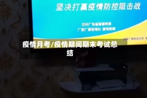 疫情月考/疫情期间期末考试总结