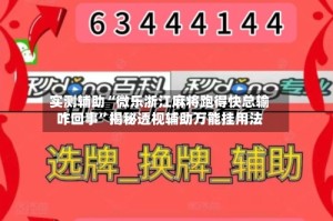 实测辅助“微乐浙江麻将跑得快总输咋回事”揭秘透视辅助万能挂用法