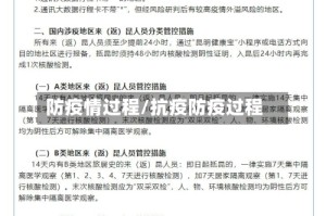 防疫情过程/抗疫防疫过程