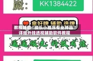 教程辅助“微乐小程序专业神器”详细外挂透视辅助软件教程