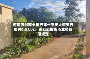 河南农村商业银行郑州平安大道支行被罚0.6万元：违反反假货币业务管理规定