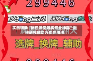 实测辅助“微乐湖南麻将专业神器”揭秘透视辅助万能挂用法