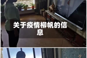 关于疫情柳帆的信息