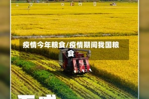 疫情今年粮食/疫情期间我国粮食
