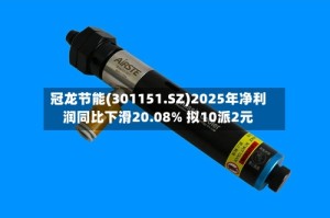 冠龙节能(301151.SZ)2025年净利润同比下滑20.08% 拟10派2元