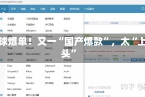 全球爆单！又一“国产爆款”，太“上头”