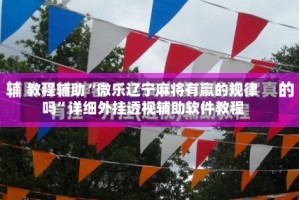 教程辅助“微乐辽宁麻将有赢的规律吗”详细外挂透视辅助软件教程