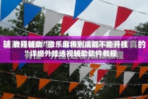 教程辅助“微乐麻将到底能不能开挂”详细外挂透视辅助软件教程