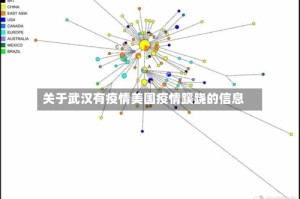关于武汉有疫情美国疫情蹊跷的信息