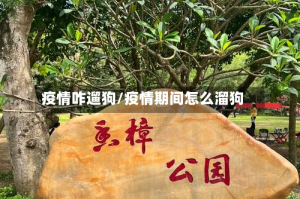 疫情咋遛狗/疫情期间怎么溜狗