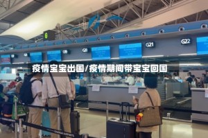 疫情宝宝出国/疫情期间带宝宝回国