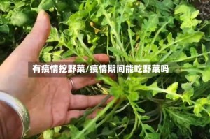 有疫情挖野菜/疫情期间能吃野菜吗