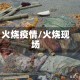 火烧疫情/火烧现场