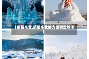 【疫情东北,疫情东北都支援哪些城市】