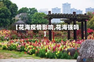 【花海疫情影响,花海强吗】