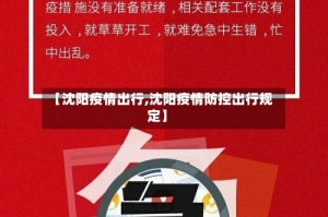 【沈阳疫情出行,沈阳疫情防控出行规定】