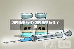 境内疫情反弹/境内疫情反弹了吗