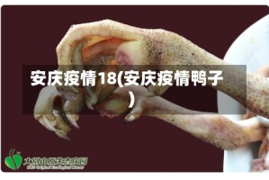 安庆疫情18(安庆疫情鸭子)