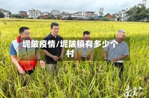 坭陂疫情/坭陂镇有多少个村